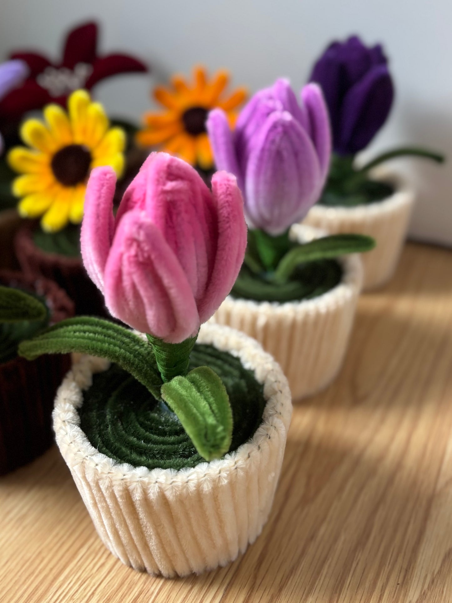 Pot éternel - Tulipe rose