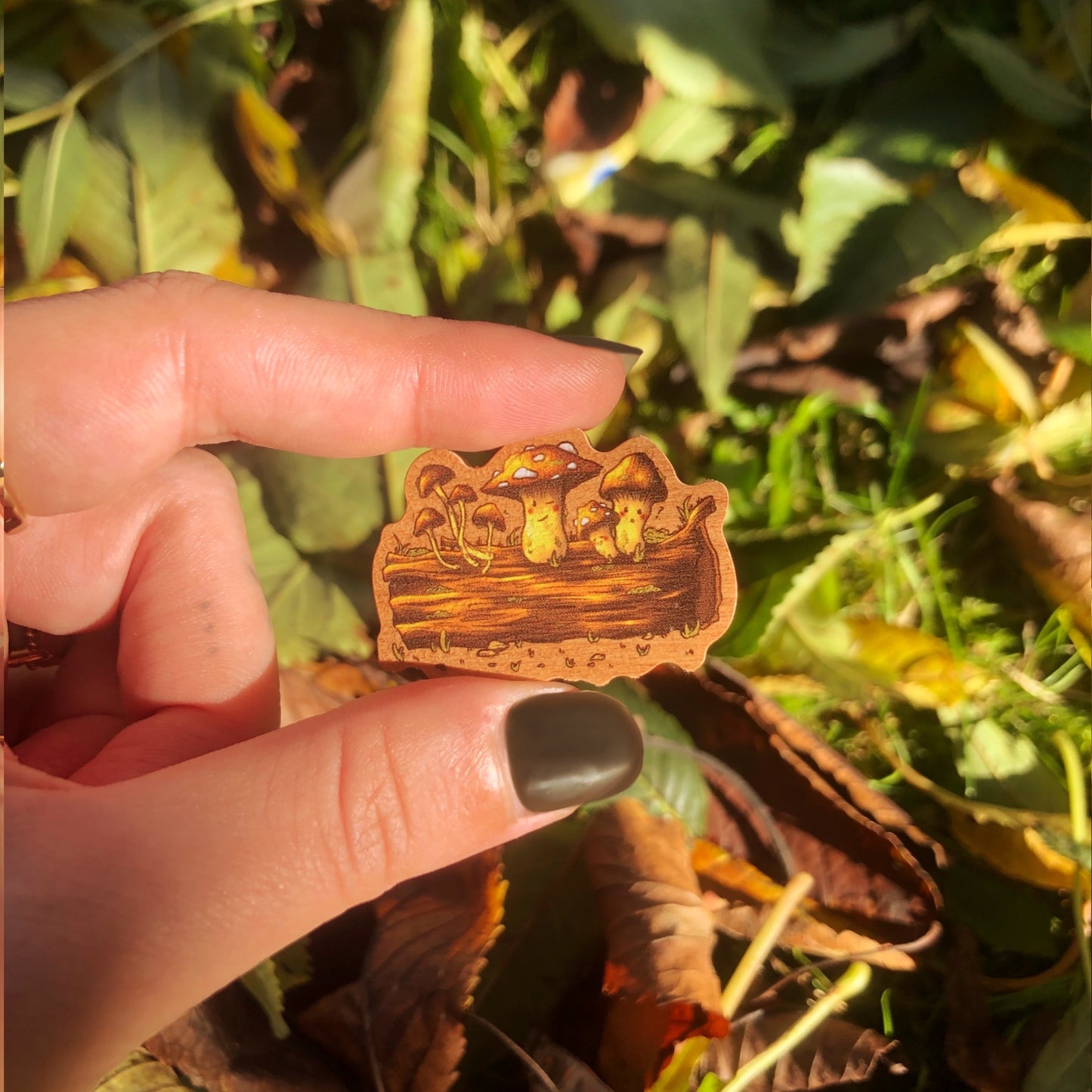 Pins en bois - Amis de la forêt