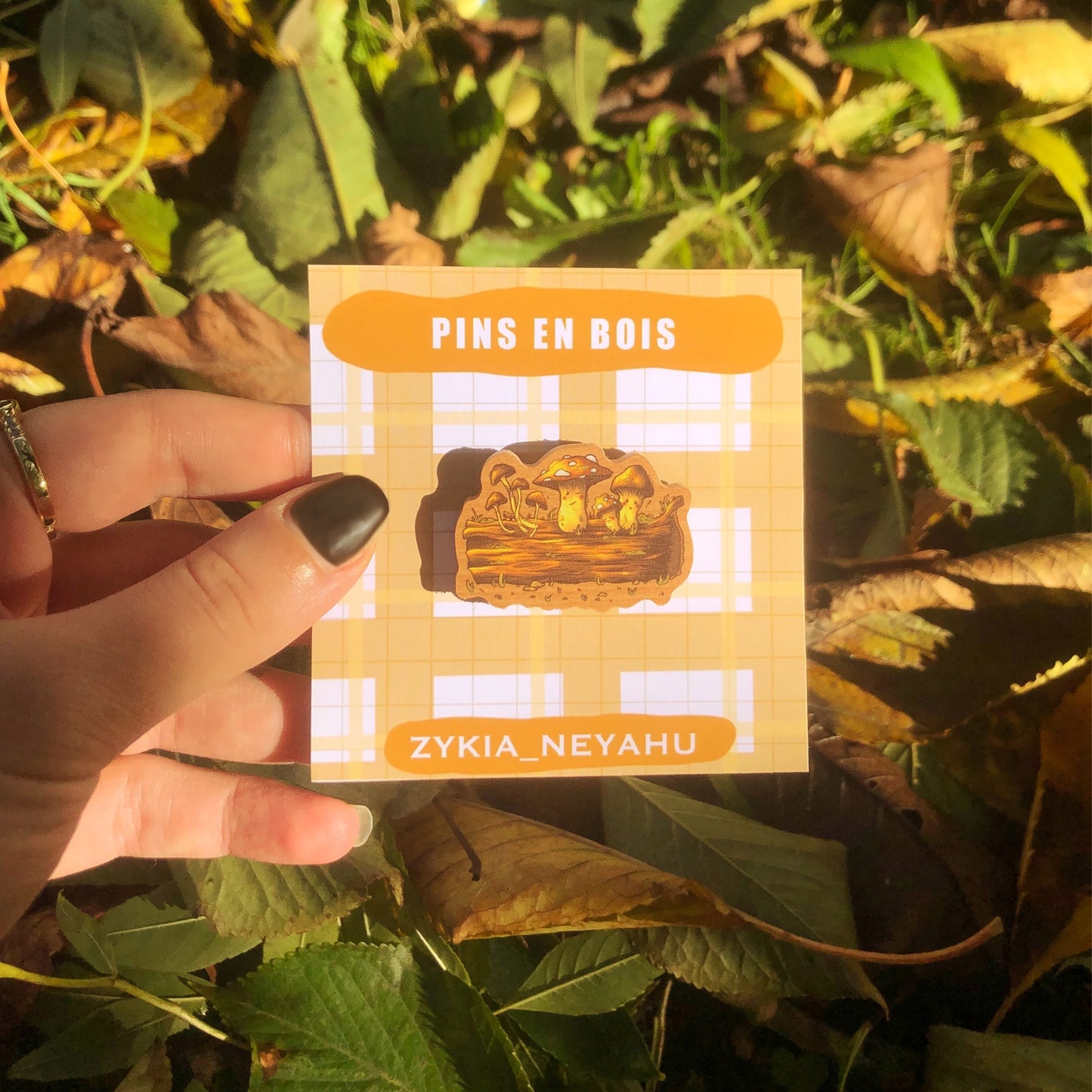 Pins en bois - Amis de la forêt