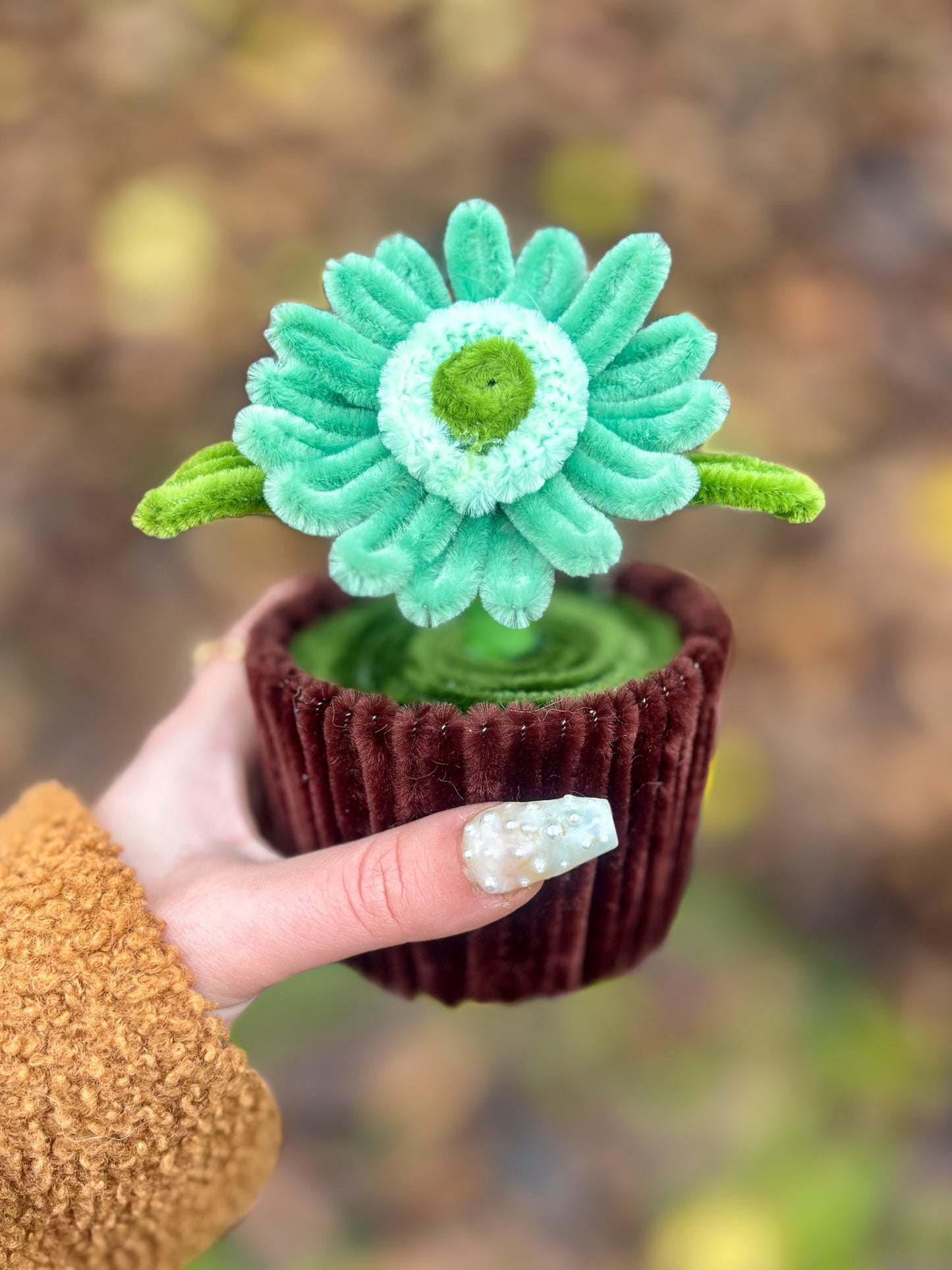Pot éternel - Gerbera vert d’eau