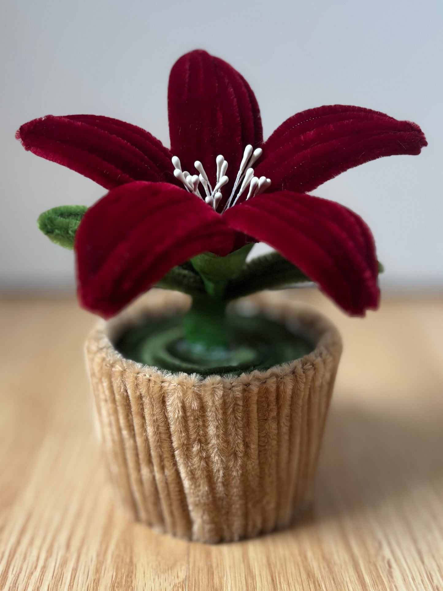 Pot éternel - Lys rouge