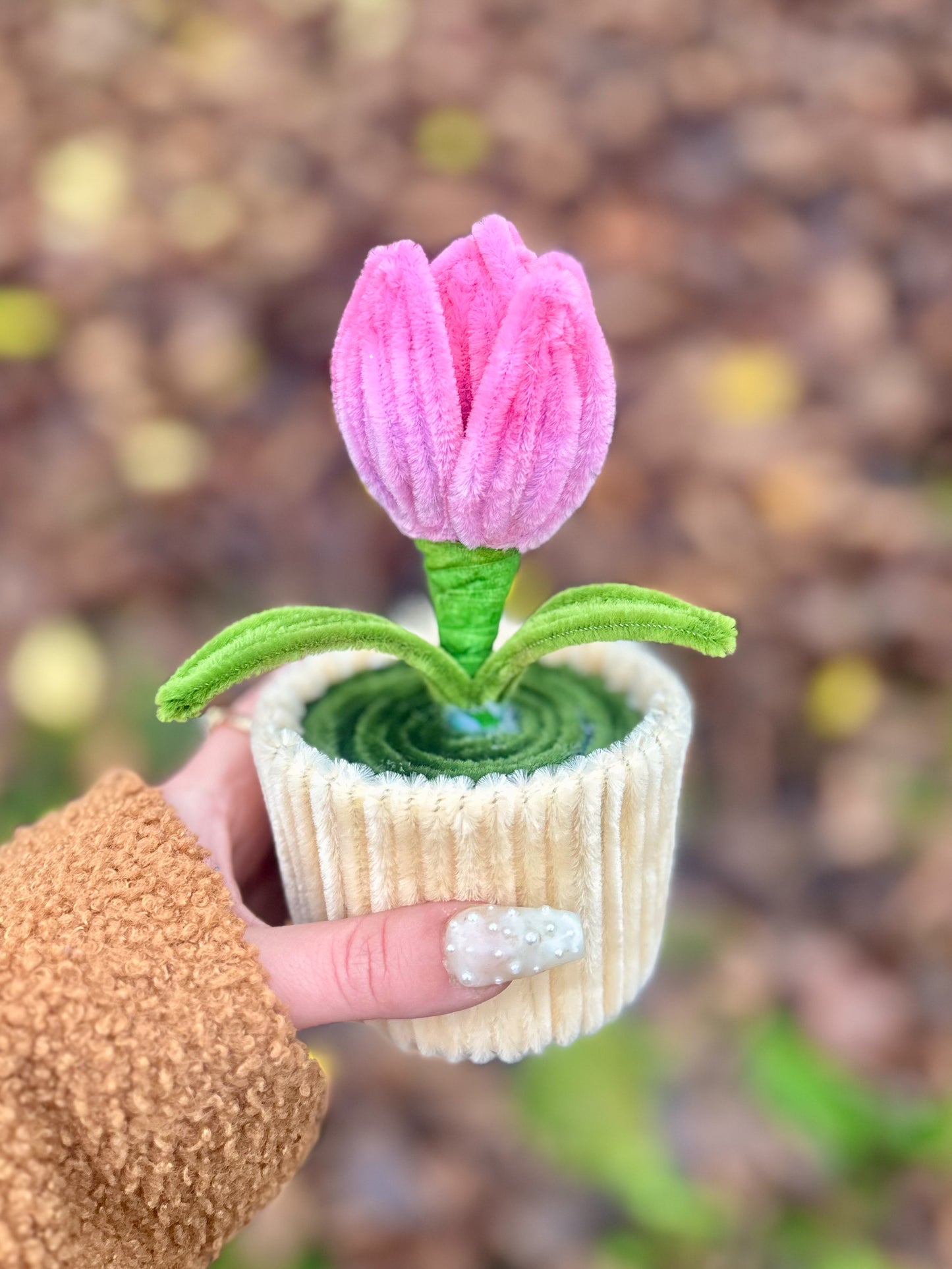 Pot éternel - Tulipe rose