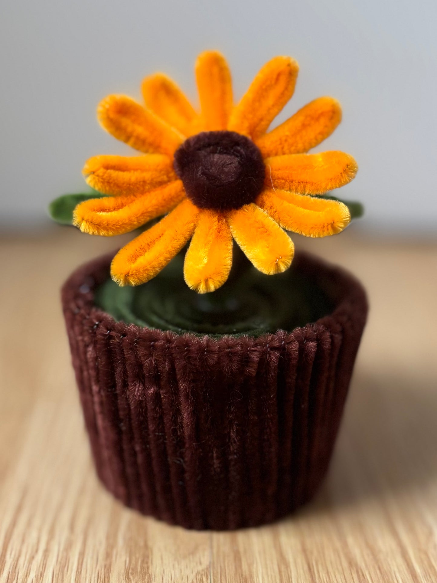 Pot éternel - Marguerite orange